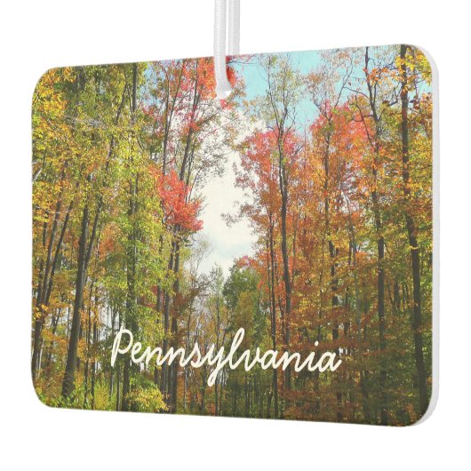 秋の木々とブルースカイ秋の自然写真 カーエアーフレッシュナー (左)