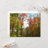 秋の木々とブルースカイ秋の自然写真 カード (正面/裏面インサイチュ)