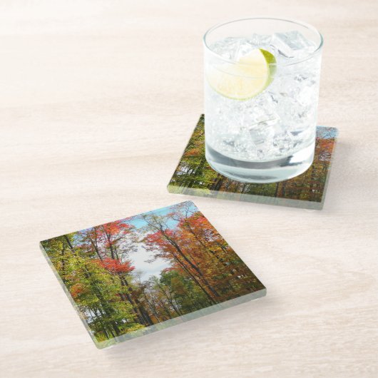 秋の木々とブルースカイ秋の自然写真 ガラスコースター (アングル)