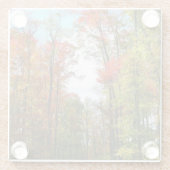 秋の木々とブルースカイ秋の自然写真 ガラスコースター (裏面)