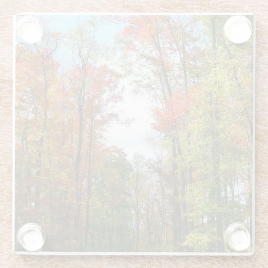 秋の木々とブルースカイ秋の自然写真 ガラスコースター (裏面)