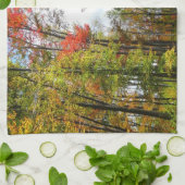 秋の木々とブルースカイ秋の自然写真 キッチンタオル (折り畳み)