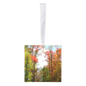 秋の木々とブルースカイ秋の自然写真 キューブオーナメント (右)