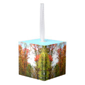 秋の木々とブルースカイ秋の自然写真 キューブオーナメント (裏面アングル)