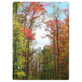 秋の木々とブルースカイ秋の自然写真 クリップボード (裏面)