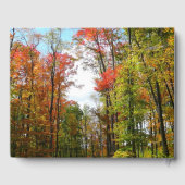 秋の木々とブルースカイ秋の自然写真 ゲストブック (裏面)