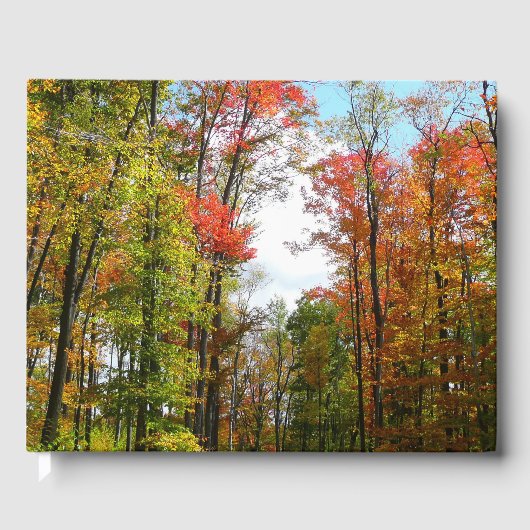 秋の木々とブルースカイ秋の自然写真 ゲストブック (正面)