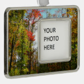 秋の木々とブルースカイ秋の自然写真 シルバープレートフレームオーナメント (右)