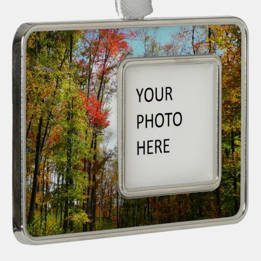 秋の木々とブルースカイ秋の自然写真 シルバープレートフレームオーナメント (右)