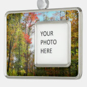 秋の木々とブルースカイ秋の自然写真 シルバープレートフレームオーナメント (左)