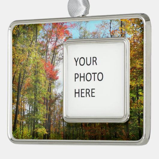 秋の木々とブルースカイ秋の自然写真 シルバープレートフレームオーナメント (左)