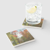 秋の木々とブルースカイ秋の自然写真 ストーンコースター (横)