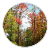 秋の木々とブルースカイ秋の自然写真 セラミックノブ (正面)