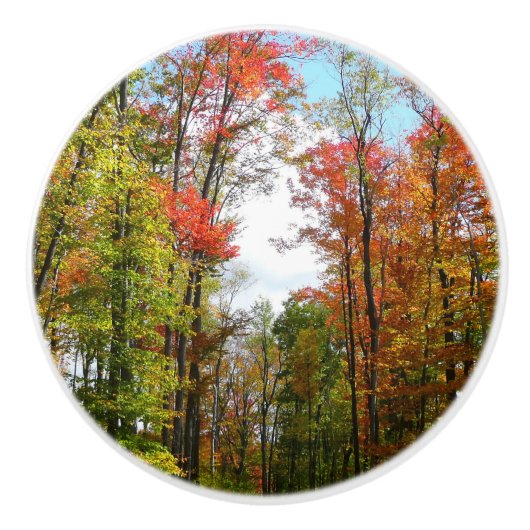 秋の木々とブルースカイ秋の自然写真 セラミックノブ (正面)