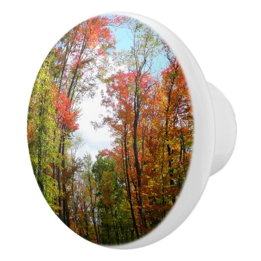 秋の木々とブルースカイ秋の自然写真 セラミックノブ (右)