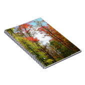 秋の木々とブルースカイ秋の自然写真 ノートブック (右側)