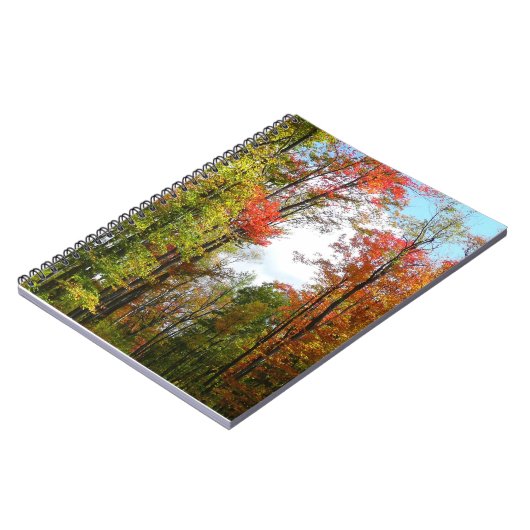 秋の木々とブルースカイ秋の自然写真 ノートブック (左側)