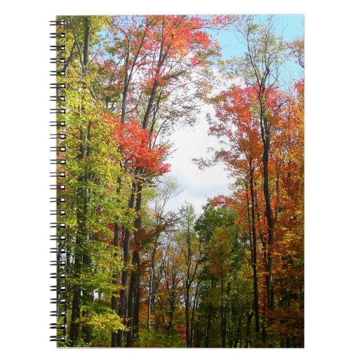秋の木々とブルースカイ秋の自然写真 ノートブック (正面)