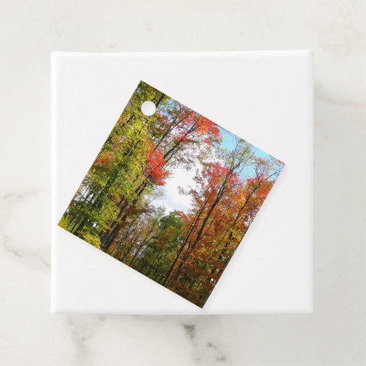 秋の木々とブルースカイ秋の自然写真 フェイバータグ (インサイチュ)