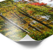 秋の木々とブルースカイ秋の自然写真 フォトプリント            (角)