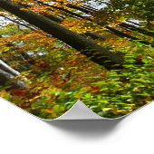 秋の木々とブルースカイ秋の自然写真 ポスター (角)