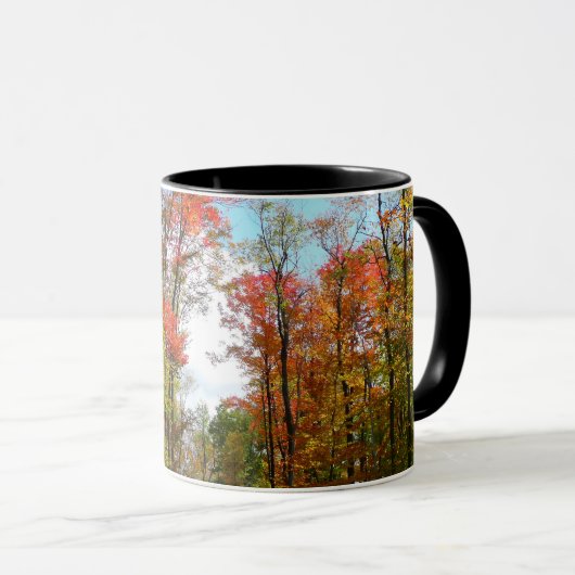 秋の木々とブルースカイ秋の自然写真 マグカップ (正面右)
