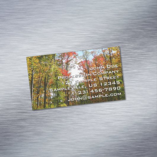 秋の木々とブルースカイ秋の自然写真 マグネット名刺 (インサイチュ)