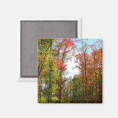 秋の木々とブルースカイ秋の自然写真 マグネット (正面/裏面)