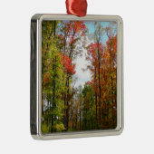 秋の木々とブルースカイ秋の自然写真 メタルオーナメント (右)