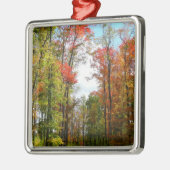 秋の木々とブルースカイ秋の自然写真 メタルオーナメント (左)