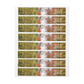 秋の木々とブルースカイ秋の自然写真 ラップアラウンドラベル (シート)