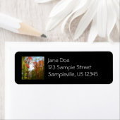 秋の木々とブルースカイ秋の自然写真 ラベル (インサイチュ)