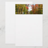 秋の木々とブルースカイ秋の自然写真 便箋 (正面/裏面)