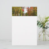 秋の木々とブルースカイ秋の自然写真 便箋 (スタンド正面)