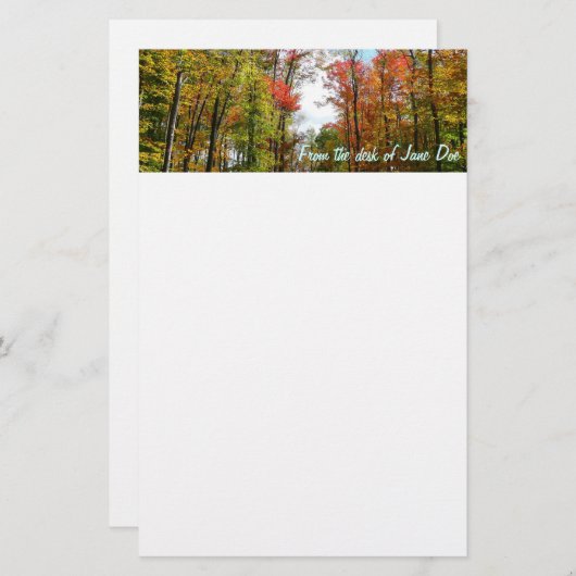 秋の木々とブルースカイ秋の自然写真 便箋 (正面/裏面)