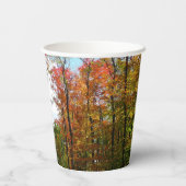 秋の木々とブルースカイ秋の自然写真 紙コップ (裏面)