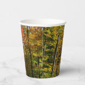 秋の木々とブルースカイ秋の自然写真 紙コップ (右)