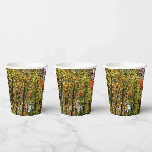 秋の木々とブルースカイ秋の自然写真 紙コップ (複数)