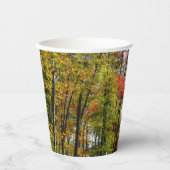 秋の木々とブルースカイ秋の自然写真 紙コップ (正面)