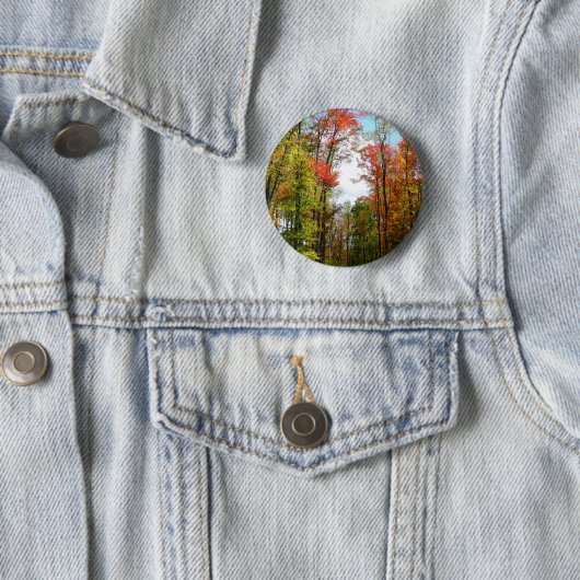 秋の木々とブルースカイ秋の自然写真 缶バッジ (インサイチュ)