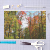 秋の木々とブルースカイ秋の自然写真 薄葉紙 (クラフト)