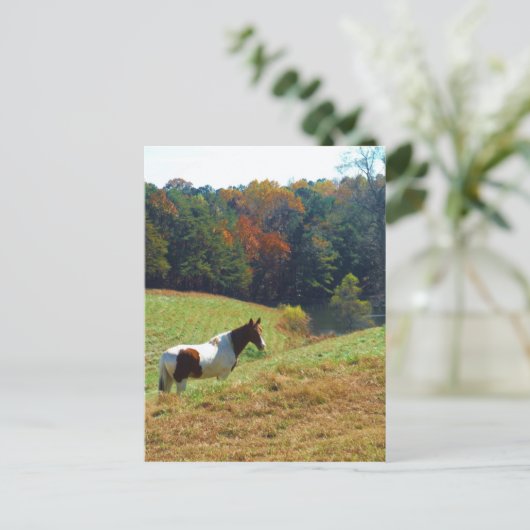 秋の木々に寄り添う茶と白の馬 ポストカード (スタンド正面)