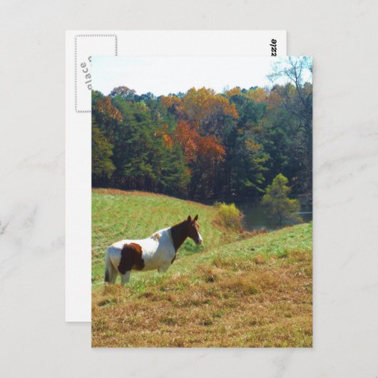 秋の木々に寄り添う茶と白の馬 ポストカード (正面/裏面)