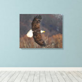 秋の木々に生えるハゲのワシ キャンバスプリント (インサイチュ (ウッドフロア))