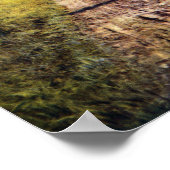 秋の木々の栄光 ポスター (角)