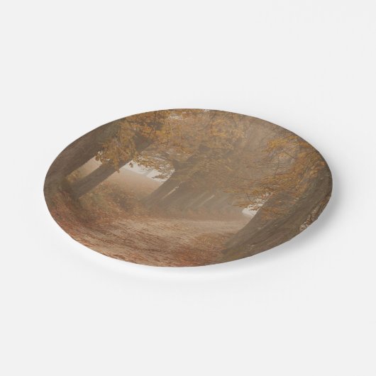 秋の木々の森のパス写真 ペーパープレート (アングル)