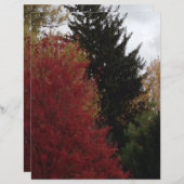 秋の木々の赤い黄色の緑のスクラップブック紙 (正面/裏面)