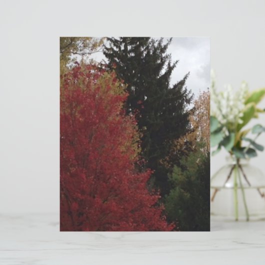 秋の木々の赤い黄色の緑のスクラップブック紙 (スタンド正面)