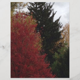 秋の木々の赤い黄色の緑のスクラップブック紙