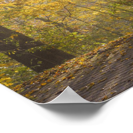 秋の木々を透かした黄金の陽光 ポスター (角)